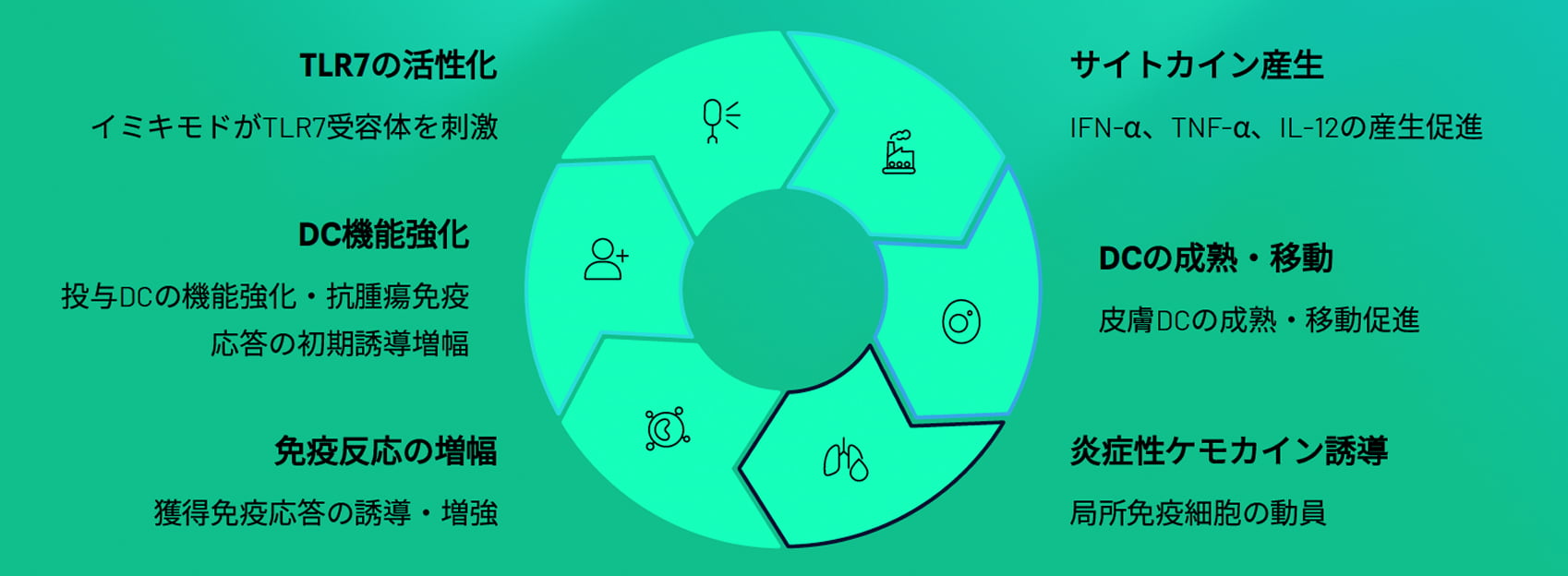 よろずクリニック式樹状細胞療法とは？費用と流れも解説 | 鳥取の